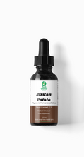 Load image into Gallery viewer, African Potato Tincture Dual Extract 2:1 | Hypoxis Hemerocallidea | Wild Harvested | 50ml | Bush Doctor™ UK