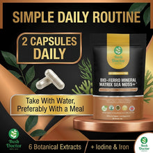 Load image into Gallery viewer, Irish Sea Moss Capsules 12000mg Bladderwrack Burdock Sarsaparilla 6-in-1 Vegan