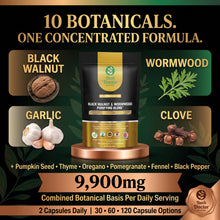 将图片加载到图库查看器,Black Walnut Wormwood Clove Garlic Pumpkin Seed 10-in-1 Herbal Capsules Vegan