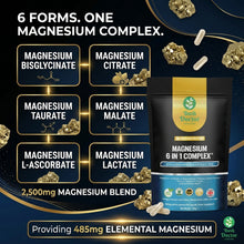 将图片加载到图库查看器,Magnesium Glycinate 6-in-1 2500mg 485mg Elemental B6 Zinc D3 60 120 180 Caps