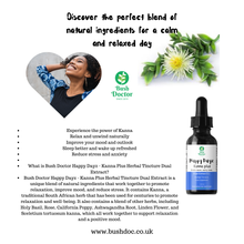 Charger l'image dans la galerie, Happy Dayz - Kanna Plus Herbal Blend Tincture (Sceletium tortuosum) - Dual Extract 5:1 / Kougoed / channa / 100ml Super Strong