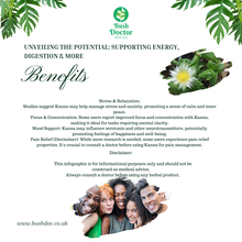 Load image into Gallery viewer, Organic Kanna Powder Fermented Sceletium Tortuosum South Africa Whole plant