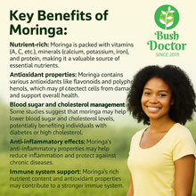 Загрузить изображение в средство просмотра галереи, Moringa 10000mg Capsules 100% Raw High Strength STRONG EFFECTIVE EXTRACT POWDER