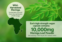 Загрузить изображение в средство просмотра галереи, Moringa 10000mg Capsules 100% Raw High Strength STRONG EFFECTIVE EXTRACT POWDER