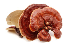 Load image into Gallery viewer, Reishi Mushroom Extract Powder Organic 30% Polysaccharides 100% Ganoderma