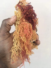 Load image into Gallery viewer, Sea Moss Zanzibar Eucheuma Cottonii Irish moss 100% Wild Harvested Dr.sebi 1kg, 10kg, 23kg & 46kg WHOLESALE