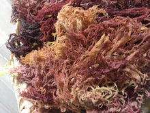 Load image into Gallery viewer, Sea Moss Zanzibar Eucheuma Cottonii Irish moss 100% Wild Harvested Dr.sebi 1kg, 10kg, 23kg & 46kg WHOLESALE