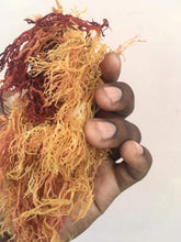 Load image into Gallery viewer, Sea Moss Zanzibar Eucheuma Cottonii Irish moss 100% Wild Harvested Dr.sebi 1kg, 10kg, 23kg & 46kg WHOLESALE