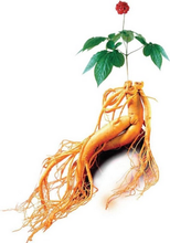 Load image into Gallery viewer, Red Korean Ginseng Extract Powder - 100% 6-year-old Pure Red Panax