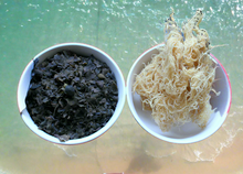 Load image into Gallery viewer, Sea Moss and Bladderwrack Vegan Capsules 60, 100 & 200