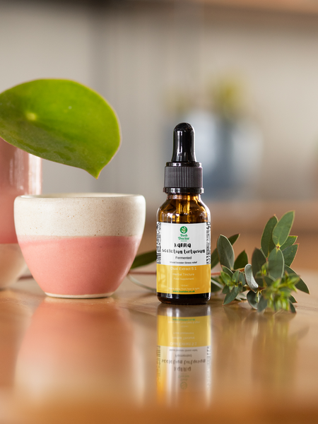 How to Use Kanna Sceletium tortuosum Safely & Effectively