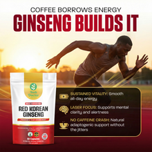 Carregar imagem no visualizador da galeria, Korean Red Ginseng Extract Powder – 100% Pure 6-Year-Old Red Panax Ginseng | 20:1 High-Potency Extract | Energy, Focus, and Immune Support
