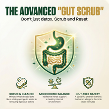 Load image into Gallery viewer, Para Detox Advance | The Nut-Free "Gut Scrub" &amp; Cleanse (60 Caps)
