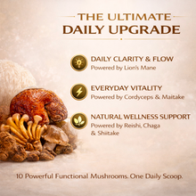 Carregar imagem no visualizador da galeria, Super Mushroom Complex Powder 10in1 | Lions Mane Reishi Chaga | 1kg
