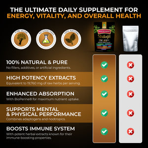 Shilajit 10-in-1 Herbal Supplement Capsules – Sea moss, Ashwagandha, Rhodiola Rosea, Panax Ginseng, Turmeric, Ginkgo Biloba, Cordyceps & More – High Potency Formula