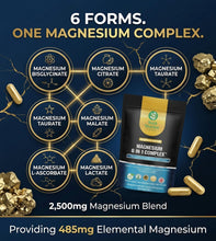 将图片加载到图库查看器，Magnesium Glycinate 6-in-1 2500mg 485mg Elemental B6 Zinc D3 60 120 180 Caps
