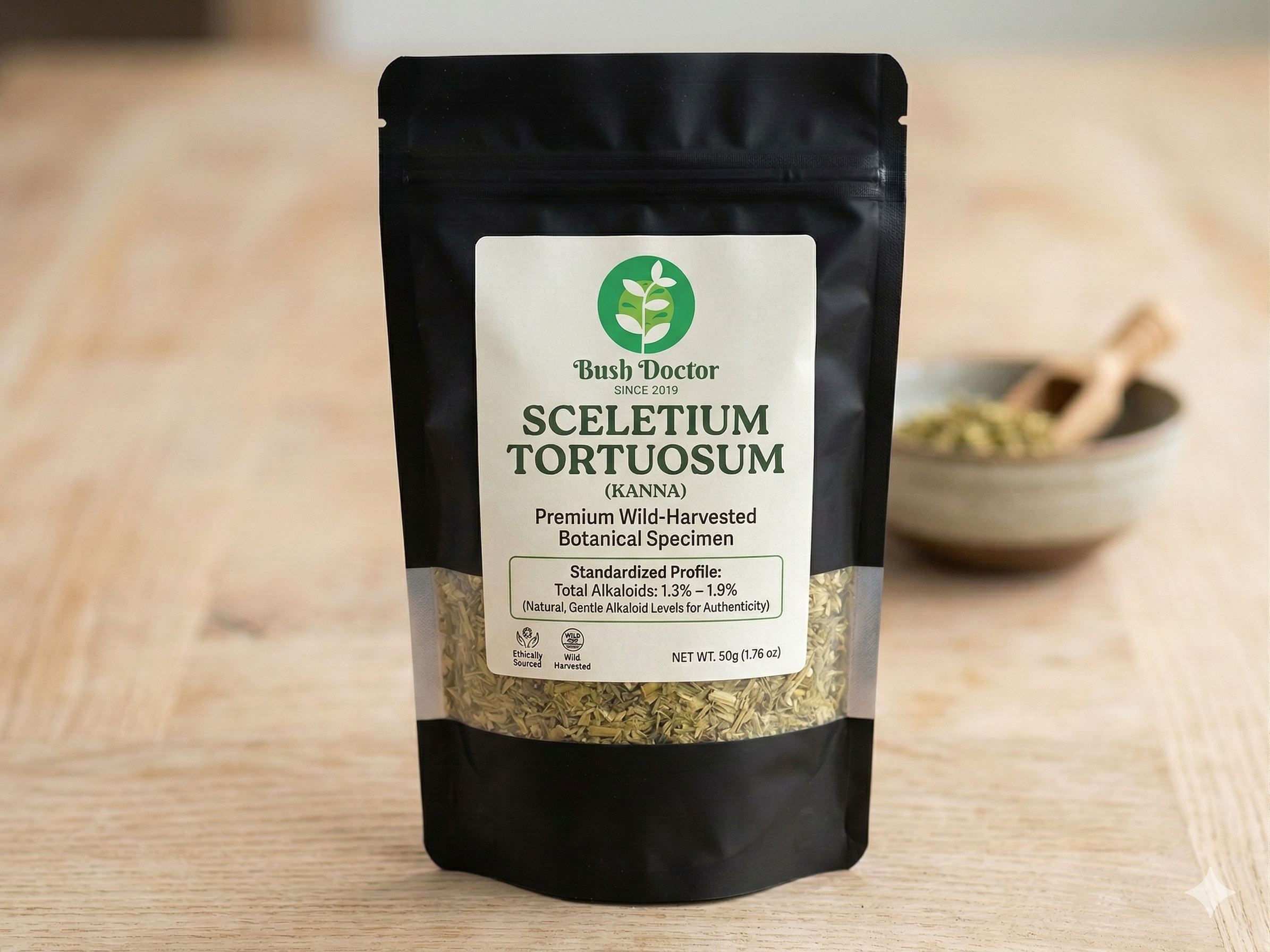 【親株】カンナ　Sceletium Tortuosum Sceletium tortuosum (Kanna) | Premium Wild-Harvested Botanical