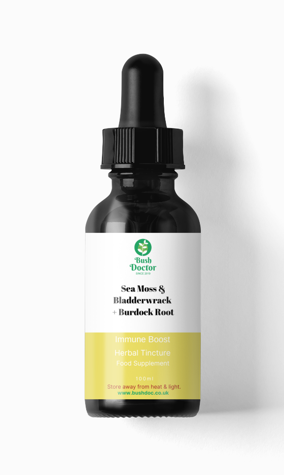 Sea Moss and Bladderwrack + Burdock Root Tincture Superfood Blend 100ml
