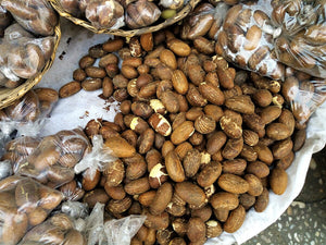 Organic Bitter Kola Nut Powder | Wild-Harvested Superfood from DR Congo Rainforest | Natural Energy, Immune & Detox Support | Pure African Herbal Supplement | Garcinia kola | Ngadiadia | Orogbo | Mukezu