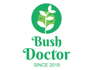Bush Doctor