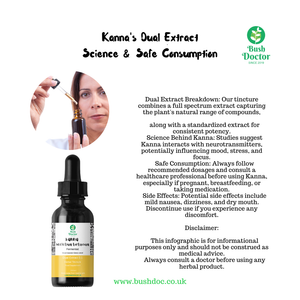 Super Strong Kanna Tincture (Sceletium tortuosum) - Dual Extract 5:1 / Kougoed / channa / 100ml / 50ml
