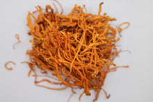 Laden Sie das Bild in den Galerie-Viewer, Cordyceps Militaris Mushrooms -Premium, Pure, Potent, Organic and Naturally Sourced
