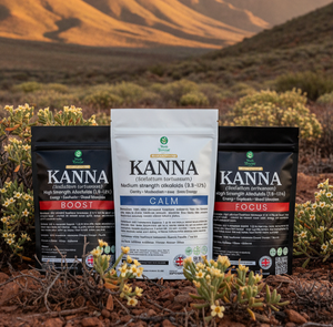 Kanna BOOST | High Strength Sceletium tortuosum Powder & Tea Cut | Wild-Harvested South Africa | Premium Herbal Quality UK