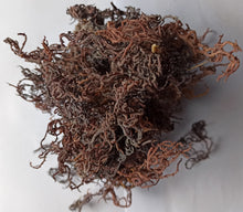Carregar imagem no visualizador da galeria, Zanzibar Purple Gracilaria Sea Moss premium quality 100% Ocean Wild Harvested
