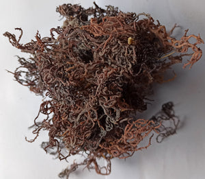 Zanzibar Purple Gracilaria Sea Moss premium quality 100% Ocean Wild Harvested