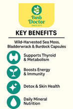 Load image into Gallery viewer, Sea Moss &amp; Bladderwrack + Burdock Root Capsules | 102 Essential Minerals | Immune, Thyroid, and Detox Support
