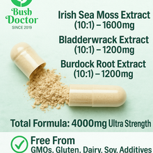 Load image into Gallery viewer, Sea Moss &amp; Bladderwrack + Burdock Root Capsules | 102 Essential Minerals | Immune, Thyroid, and Detox Support
