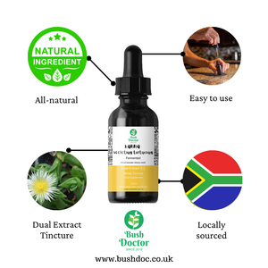 Super Strong Kanna Tincture (Sceletium tortuosum) - Dual Extract 5:1 / Kougoed / channa / 100ml / 50ml