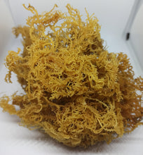 Laden Sie das Bild in den Galerie-Viewer, Sea Moss 200 Vegan Capsules Wild Harvested 102 Minerals Irish Moss Dr Sebi cell food alkaline super food
