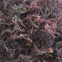 Load image into Gallery viewer, zanzibar Purple Gracilaria Sea Moss premium quality 100% Ocean Wild Harvested
