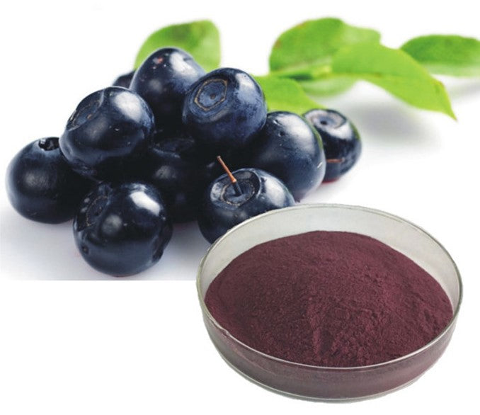 Black Elderberry extract powder anthocyanidins 25%, elderberry sambucus nigra