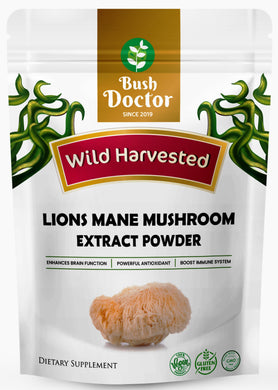 Lions Mane Mushroom Hericium Erinaceus organic Extract Powder premium quality