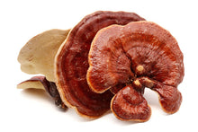 Load image into Gallery viewer, Reishi Mushroom Extract Powder Organic 30% Polysaccharides 100% Ganoderma

