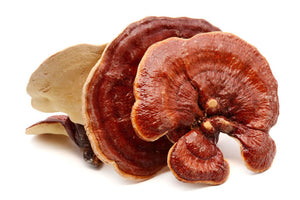 Reishi Mushroom Extract Powder Organic 30% Polysaccharides 100% Ganoderma