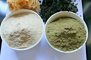 Sea Moss and Bladderwrack Wild food Powder