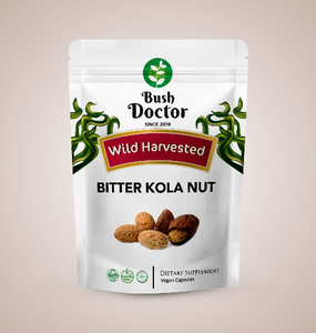 Bitter Kola Nut Vegan Capsules DR Congo Rainforest Wild Harvested