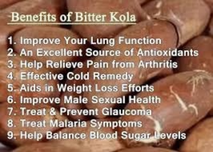 Bitter Kola Nut Vegan Capsules DR Congo Rainforest Wild Harvested