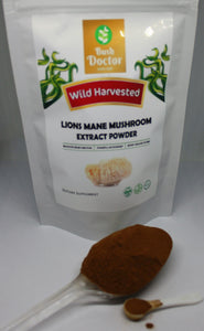 Lions Mane Mushroom Hericium Erinaceus organic Extract Powder premium quality