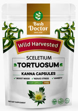 Laden Sie das Bild in den Galerie-Viewer, Sceletium Tortuosum (Kanna) 500mg 200 capsules 100% Wildcrafted Whole plant

