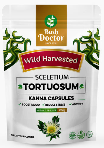 Sceletium Tortuosum (Kanna) 500mg 200 capsules 100% Wildcrafted Whole plant