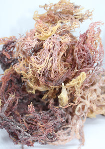 Sea Moss 200 Vegan Capsules Wild Harvested 102 Minerals Irish Moss Dr Sebi cell food alkaline super food
