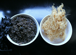 Sea Moss and Bladderwrack Wild food Powder
