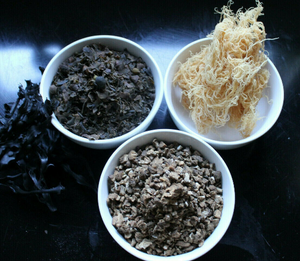 Sea Moss and Bladderwrack +Burdock Super Wild food Powder